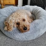 Lynn Roach - @lynn.roach.568 - Instagram