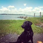 Lynn Roach - @lynnannroach - Instagram