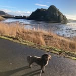 Lynn Roach - @lynn.roach.940 - Instagram