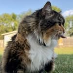 Lynn Roach - @roach7144 - Instagram