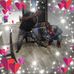 Lynn Roberson - Facebook