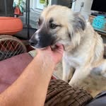 Lynn Roberts - @lynnroberts8208 - Instagram