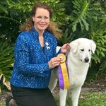 Lynn Roberts - @south_paws_dog_resort - Instagram