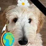 Lynn Robson - @lynn.robson.946 - Instagram