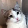 lynnerosenthal - @lynnerosenthal - TikTok