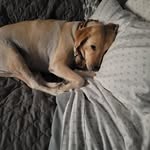 Lynn Rouse Matthews - @gagamatthews - Instagram