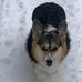 Lynn Routhier - Facebook