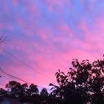 Lynn Ruark - @ruarklynn - Instagram