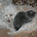 Lynn Ruark - Facebook