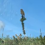 Lynn Ruddle - @lynnruddle - Instagram
