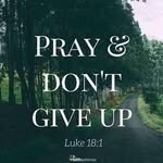 Lynn Rue - @lynnrue59 - Instagram