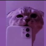 rutendolynnchabango - @lynnr_ue - Instagram