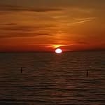 Lynn Rupp Vermeersch - @vermeerschlynn - Instagram