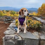 Erica Lynn Rusch - @ruscherica - Instagram