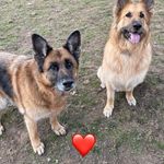 Lynn Rush - @lynnd_25 - Instagram