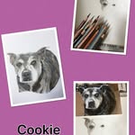 Lynn Rushton - @lynnsartystuff - Instagram