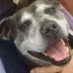 Lynn Rushton - @lynn_cookie_rushton - Instagram
