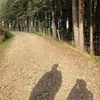 Lynn Sabin - @lynnsabin0 - TikTok