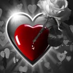 Lynn Samuelson - @franklynn7567 - Instagram