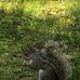 Lynn Sapp - Facebook