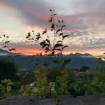 Lynn Sattler - @lynnsattler - Instagram