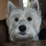 Lynn Sauer - @sweetnsauer68 - Instagram