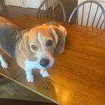 Lynn Sauer - @lynn_sauer72 - Instagram