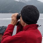 Lynn Saul - @turtle4tut - Instagram