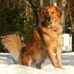 Lynn Degrazia Sauter - @lsauter3579 - Instagram