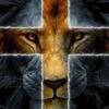 lynnsavell5744 - @lynnsavell5744 - TikTok