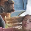 kalynnschaad302 - @kalynnschaad302 - TikTok