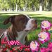 Lynn Schaal - Facebook