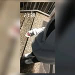 Lynn Schäfer - @lxnn_sn09 - Instagram