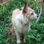 Lynn Schell - @schell7383 - Instagram