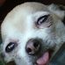 Lynn Schexnayder - Facebook