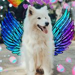 kiki483 - @kiralynnschiller - Instagram
