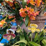 Lynn Schiller - @ls3443809 - Instagram