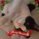 Vicky Lynn Schiller - @vicky.schiller.9 - Instagram
