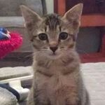 Carol Lynn Yates Schuster - @troylynn98 - Instagram