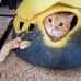 Lynn Schuster - Facebook
