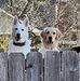 Lynne Schuster - Facebook