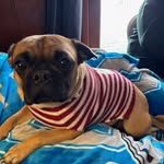 Lynn Pletcher Scribner - @lmscribner60 - Instagram
