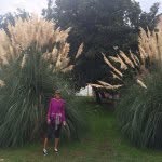 Lynn Scribner - @lmscrib - Instagram