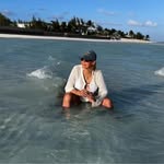 Lynne Scribner - @lynnescribner - Instagram