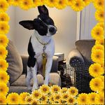 Sherry Lynn Higginbotham Seaton - @sheshe121903 - Instagram