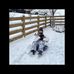 Lynn Seifert - Facebook