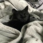 лин - @lynnsentertainment - Instagram