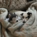 Debra Lynn Sewell - Facebook