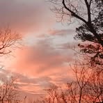 Lynn Sewell - Facebook
