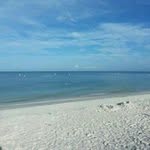 Lynn Shaffer - @shafferlynn16 - Instagram